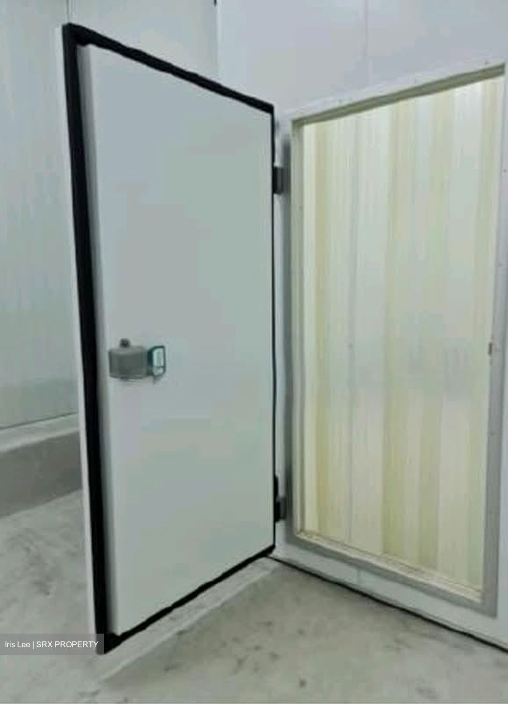 Owl International (D22), Factory #547286341